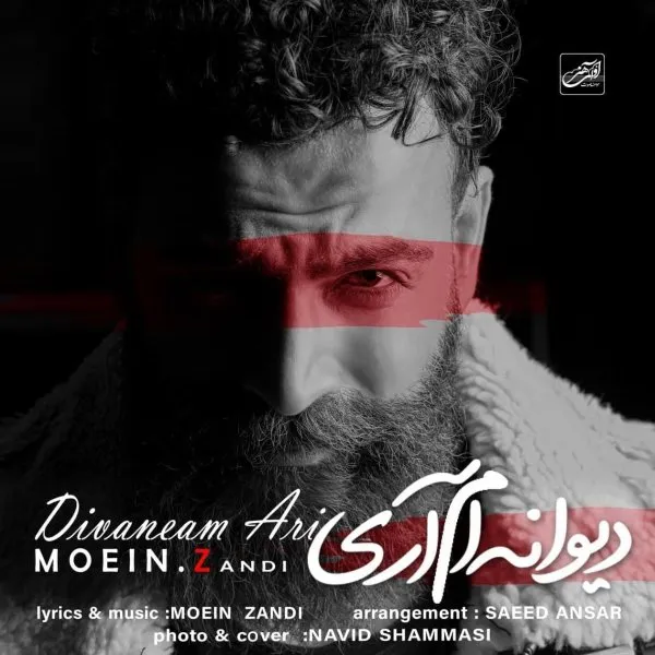 دانلود آهنگ معین زد به نام دیوانه ام آری
