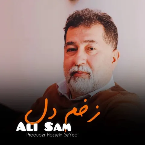 دانلود آهنگ علی سام به نام زخم دل