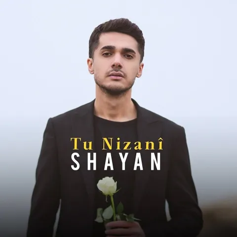دانلود آهنگ شایان عمری به نام تو نزانی