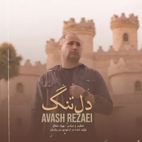 دانلود آهنگ آوش رضائی به نام دلتنگ