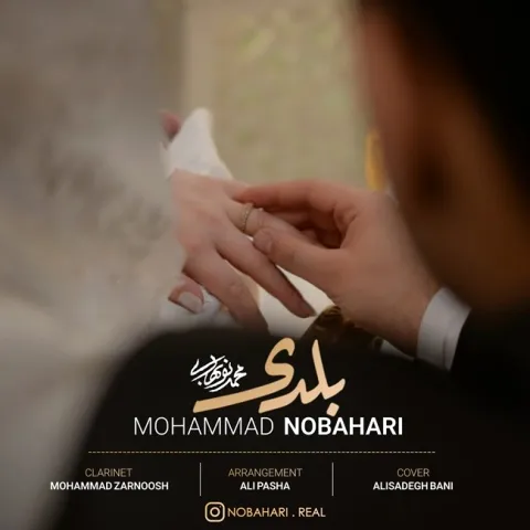دانلود آهنگ محمد نوبهاری به نام بلدی