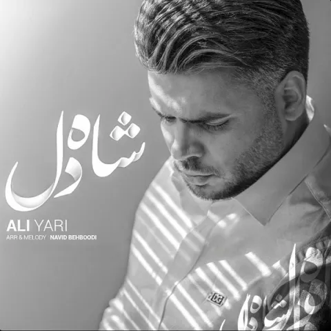 دانلود آهنگ علی یاری به نام شاه دل