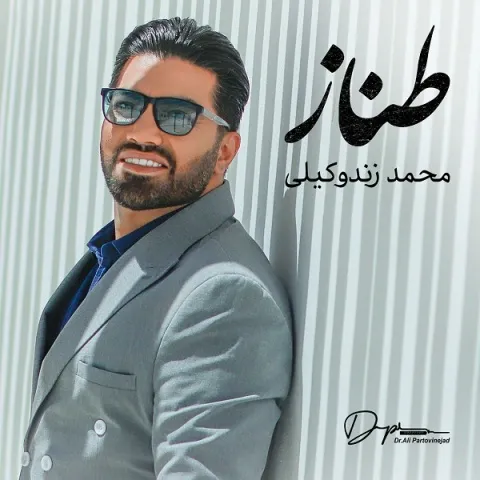 دانلود آهنگ محمد زندوکیلی به نام طناز