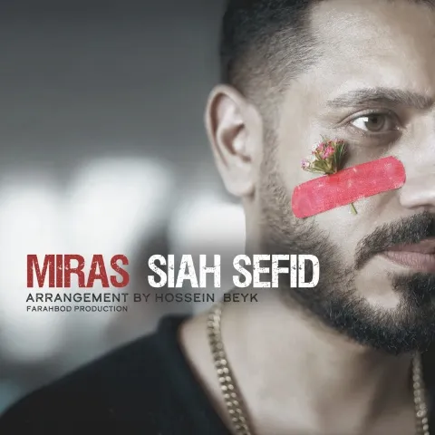 دانلود آهنگ میراث به نام سیاه سفید